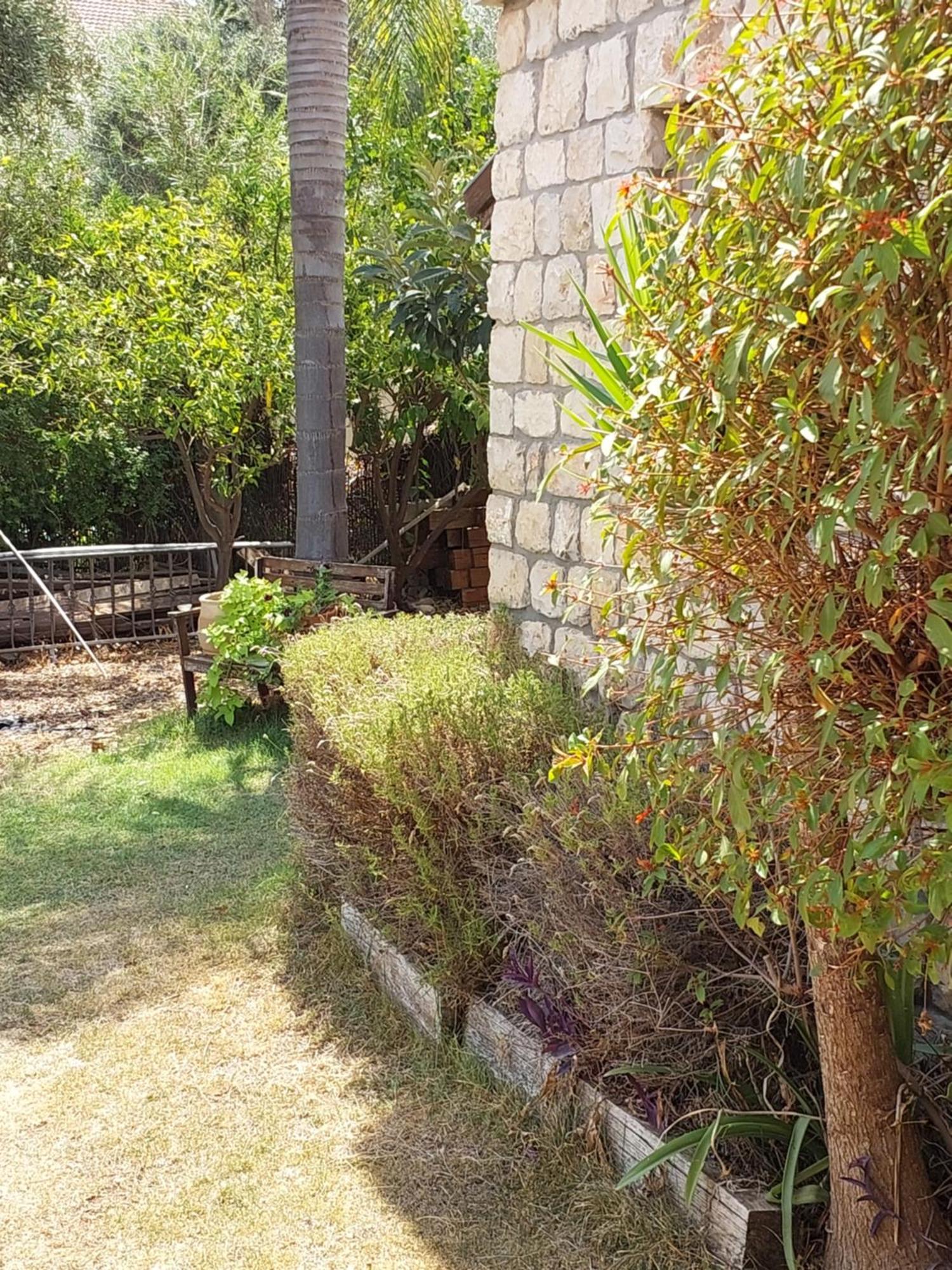 Neve Nof Leilighet Rosh Pinna Rom bilde