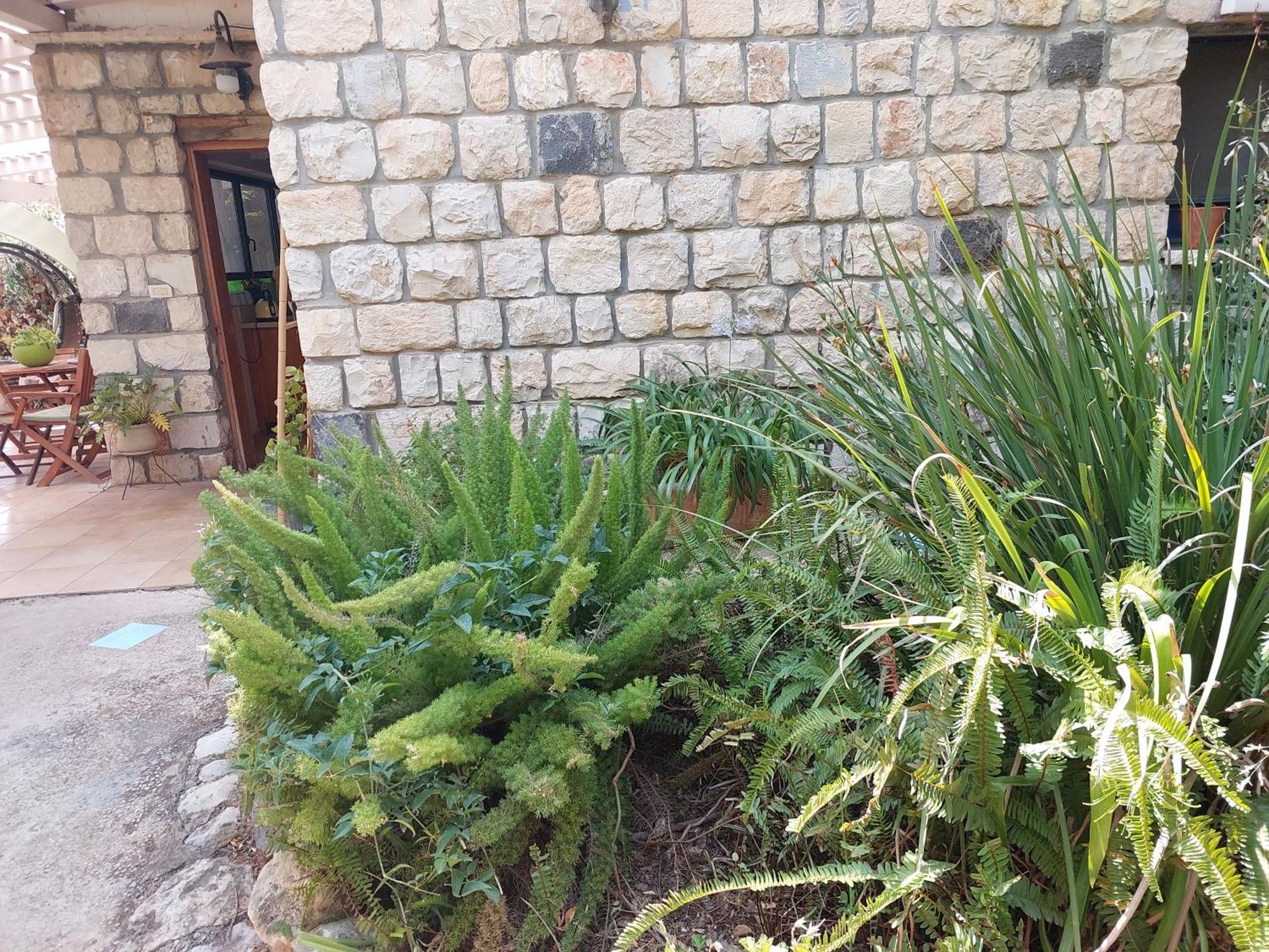Neve Nof Leilighet Rosh Pinna Rom bilde